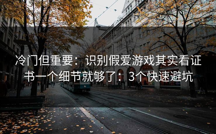 冷门但重要:识别假爱游戏其实看证书一个细节就够了:3个快速避坑