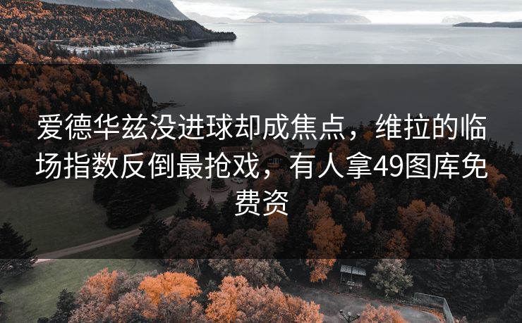 爱德华兹没进球却成焦点,维拉的临场指数反倒最抢戏,有人拿49图库免费资